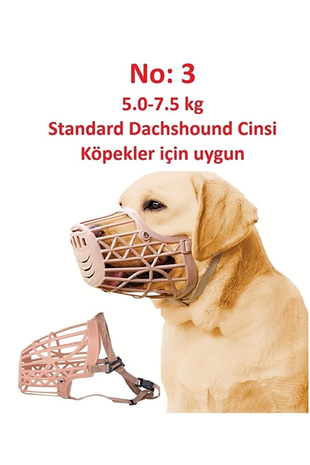 Köpek ağızlığı - 1