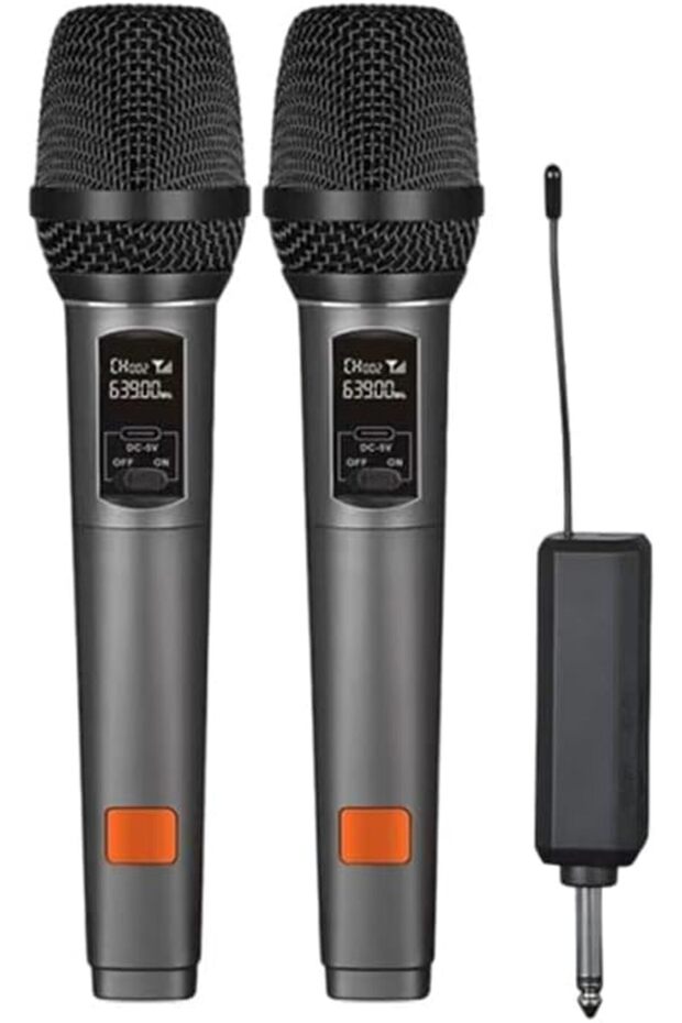 Professional UHF Wireless Microphone Rechargeable 2in1 Wired Mic HD Receiver Karaoke