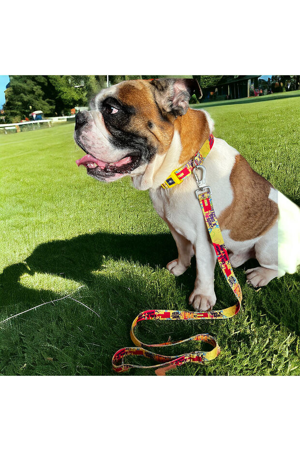 Pawlook Walking Strap (Solid Colors)