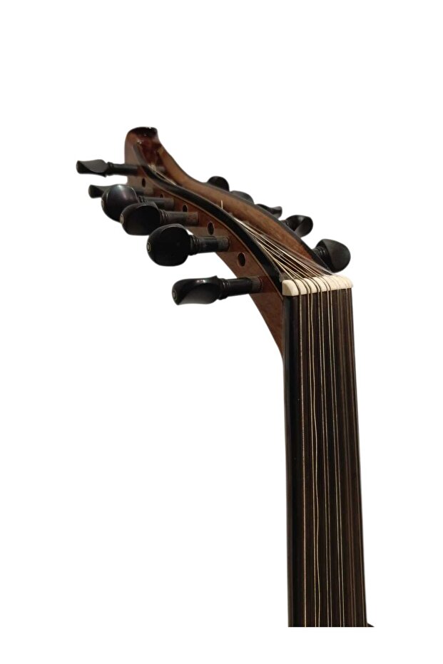 Tam Profesyonel Ud - 5