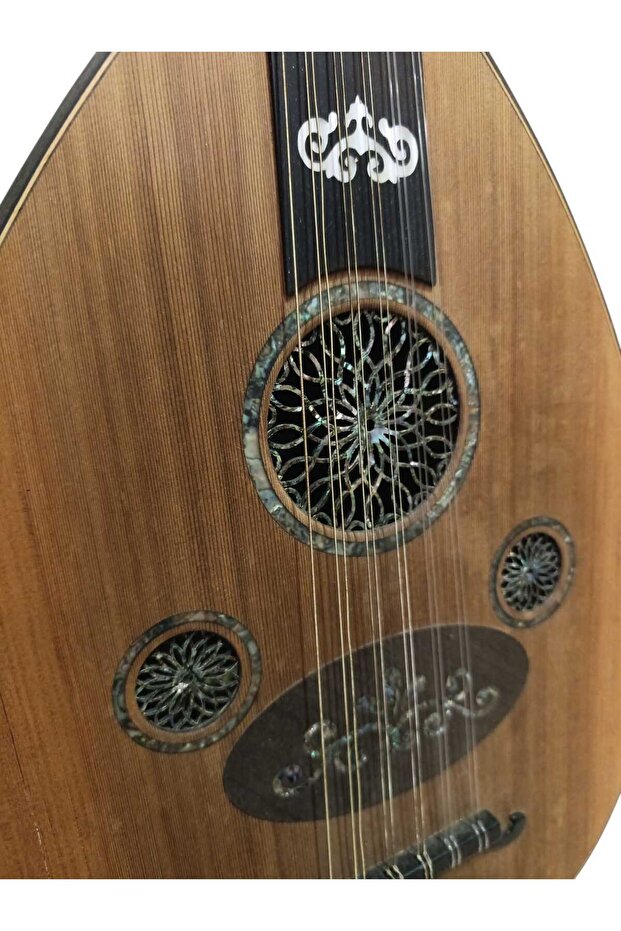 Tam Profesyonel Ud - 2