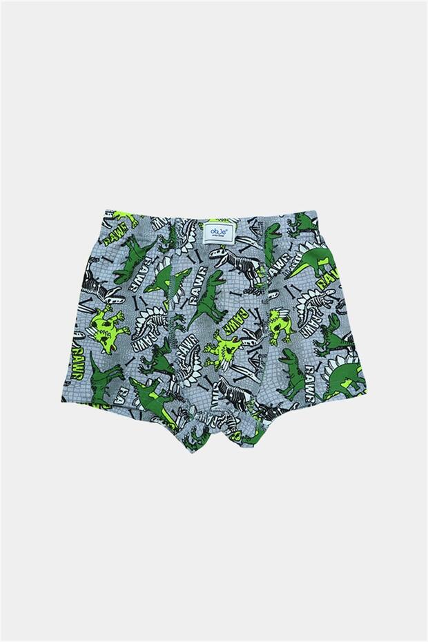 Boy's Dinosaur Pattern 2-Piece Elasticated Boxer Briefs - 2