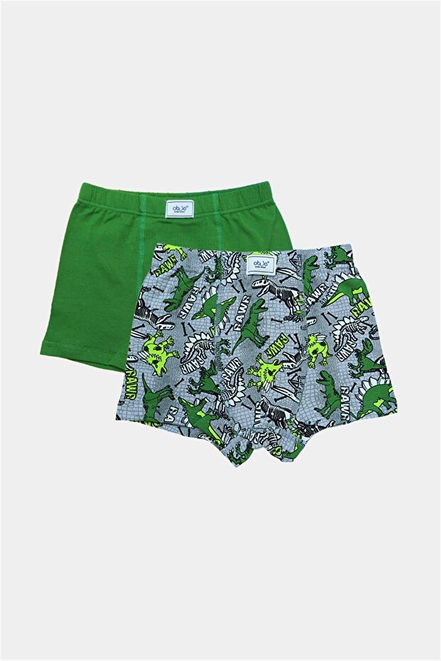 Boy's Dinosaur Pattern 2-Piece Elasticated Boxer Briefs - 1