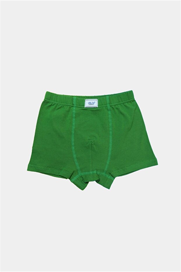 Boy's Dinosaur Pattern 2-Piece Elasticated Boxer Briefs - 3