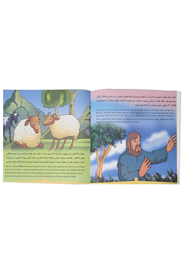 قصص الانبياء المصورة عربي إنجليزي مجموعة 12 قصة - 3
