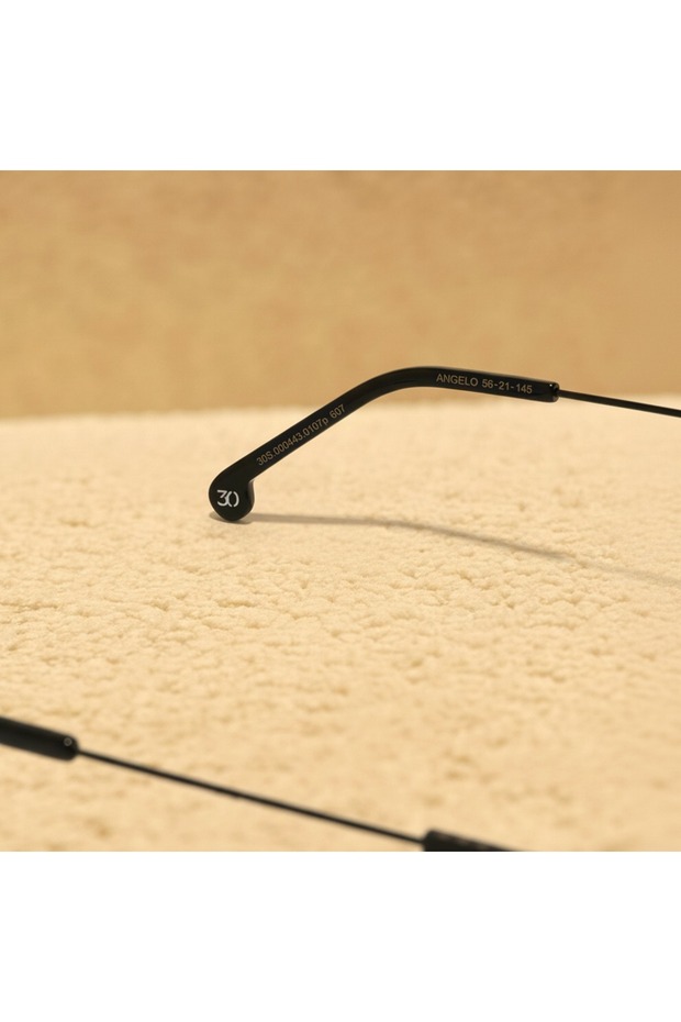 أنجيلو المستقطب - 3