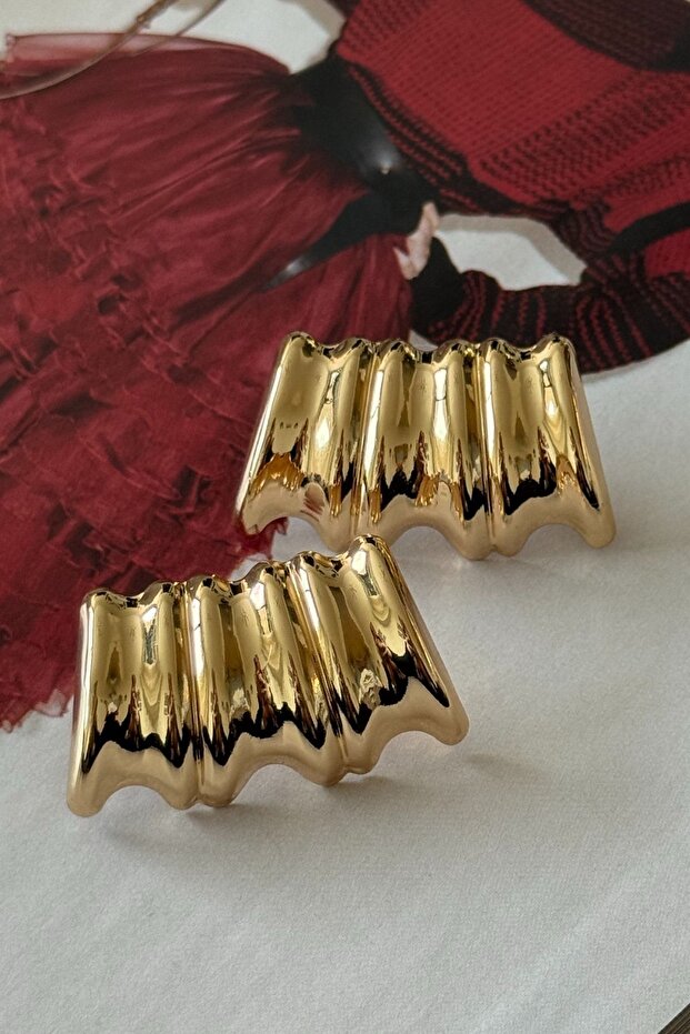 Steel Brand Model Earrings