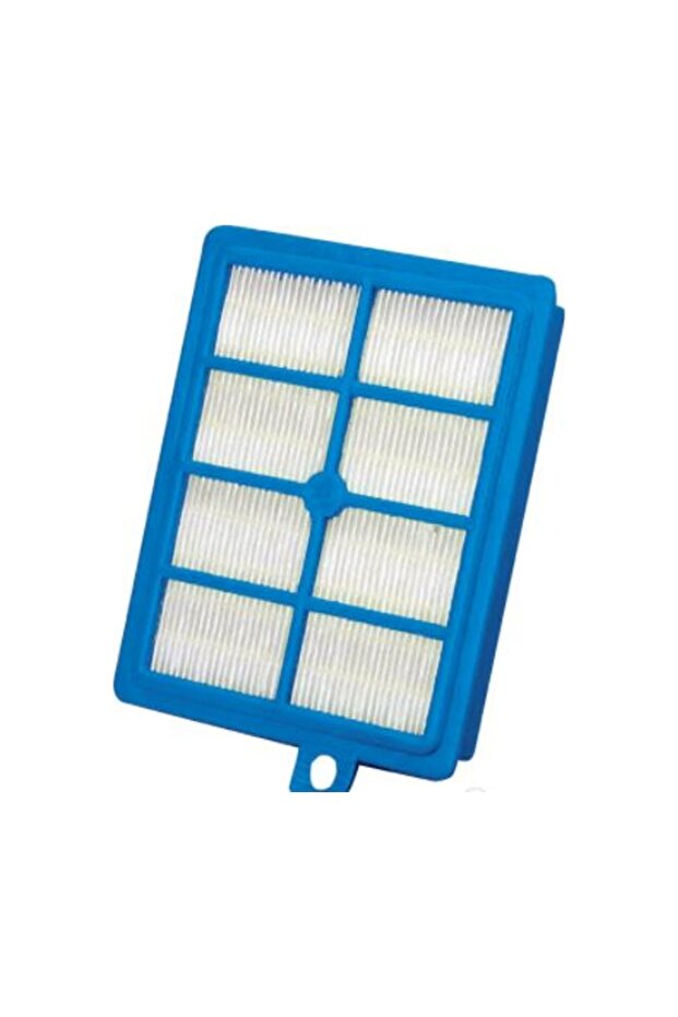Electrolux Supercyclone Scorigin Hepa Filter - 1