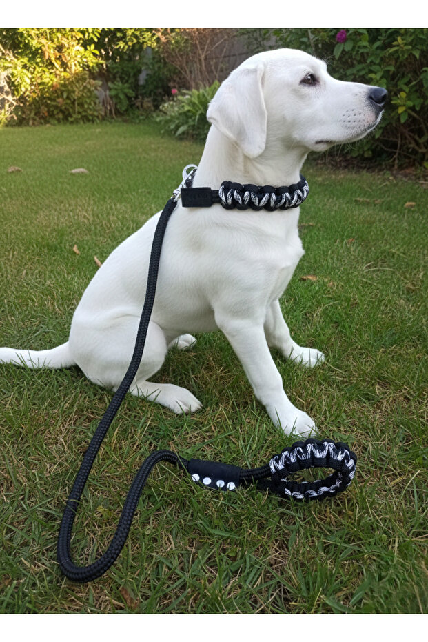 Dog Walking Strap & Collar Single Product 12 cm Diameter Skotocan Rope