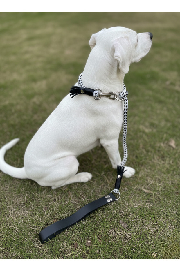 Dog Walking Strap & Collar Single Product 12 cm Diameter Skotocan Rope