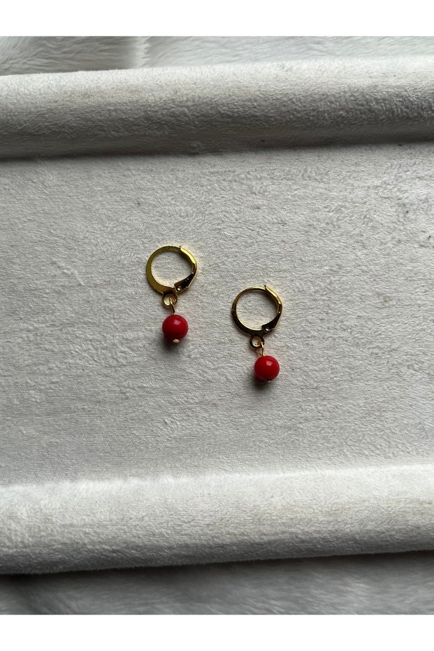 Coral Natural Stone Gold Color Steel Earrings Handmade