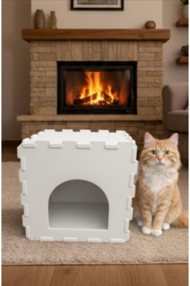 Kedi evi