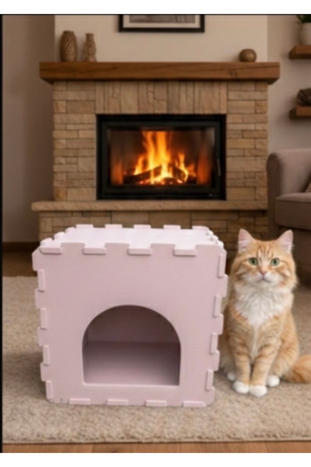 Kedi evi
