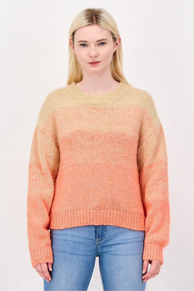 Women Crew Neck Crochet Long Sleeve Sweater, Orange