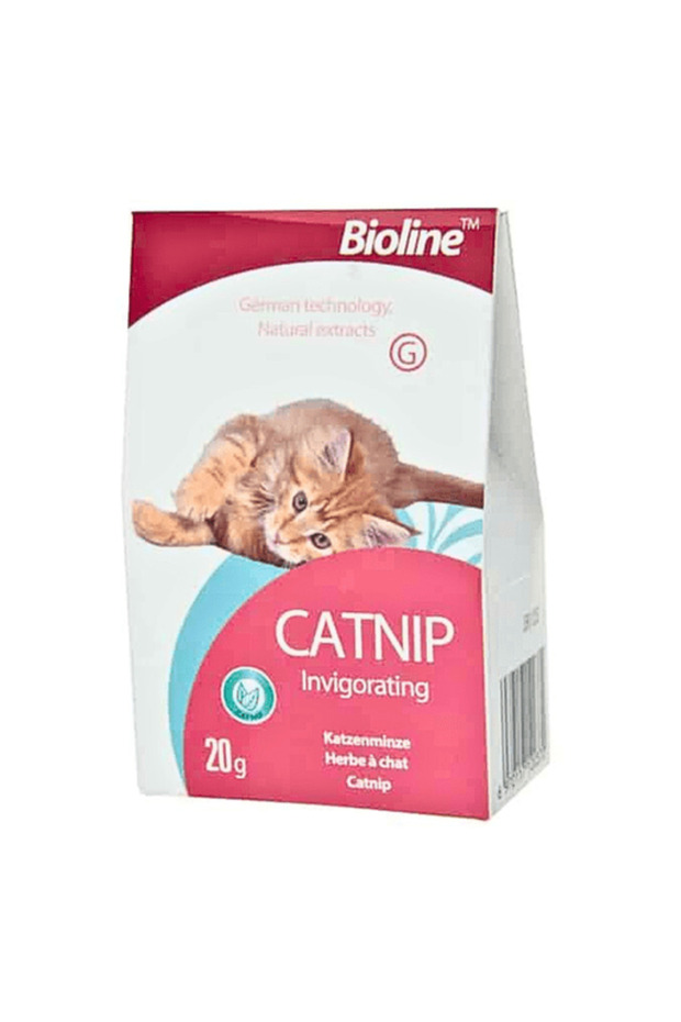 1612032746 Catnip (203220) 20 Gr