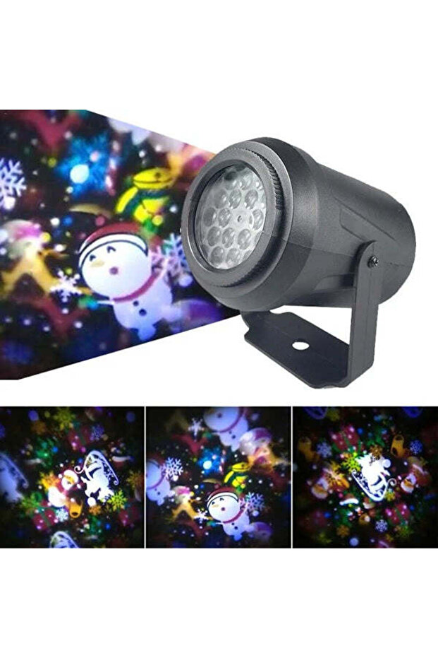 FIGURE PROJECTOR - 1