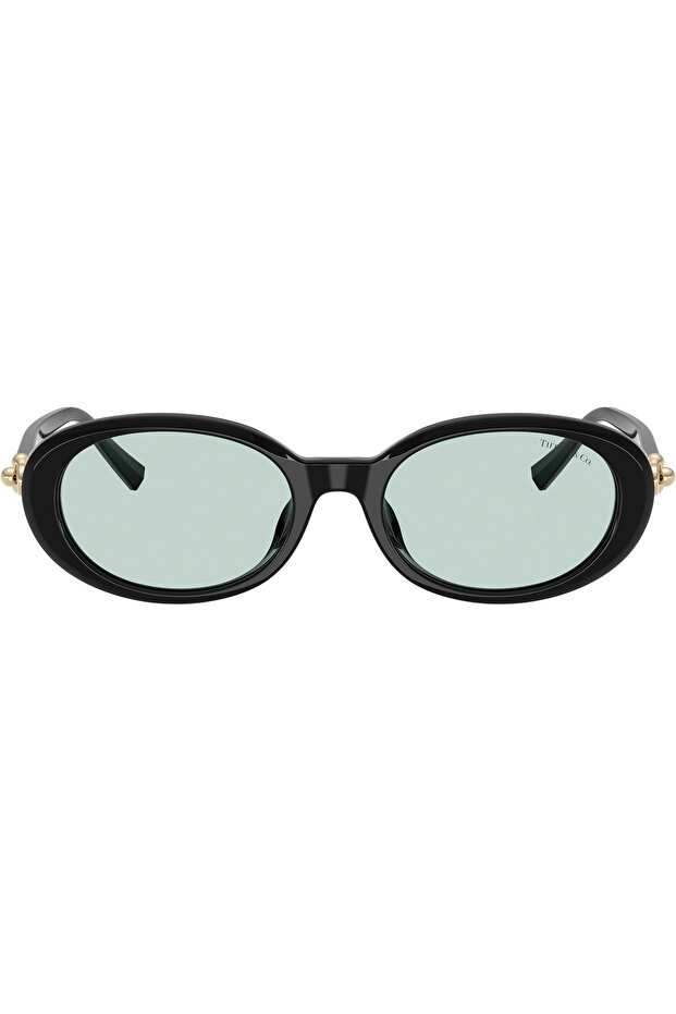 0Tf4242D 8001/D9 Women's Sunglasses