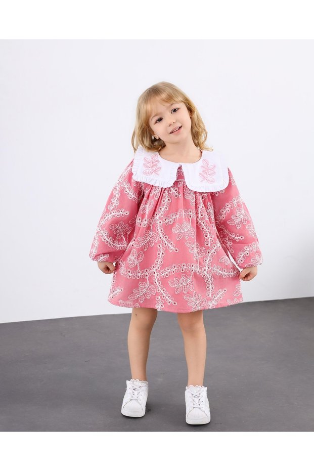 Girl's Embroidered Patterned Pink Dress with Large Collar Detail