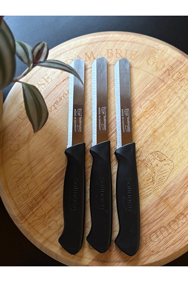 3'Lü Micro Doğrama Bıçağı Siyah - 2