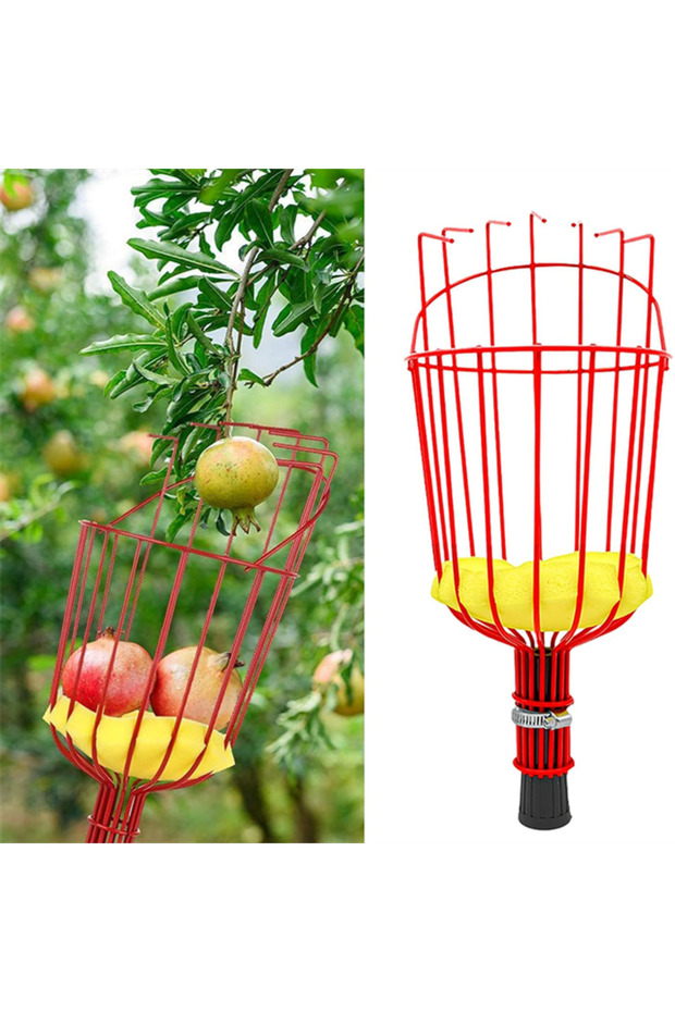 أداة عملية لجمع الفاكهة من نوع السلة طراز Sn-28776 - 1