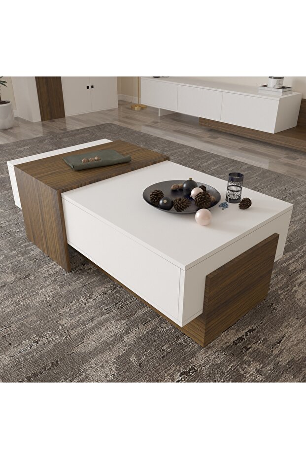 Sozan model coffee table - 1