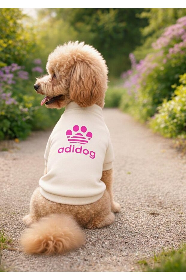 Cat Dog Printed Sweat