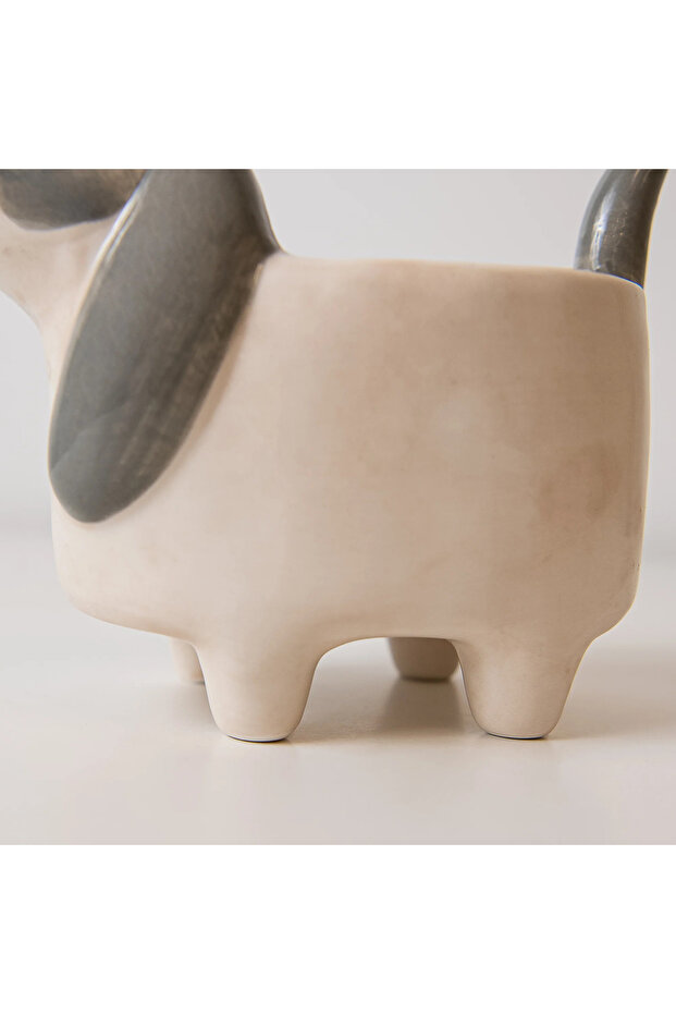 Köpek Saksılık - 7