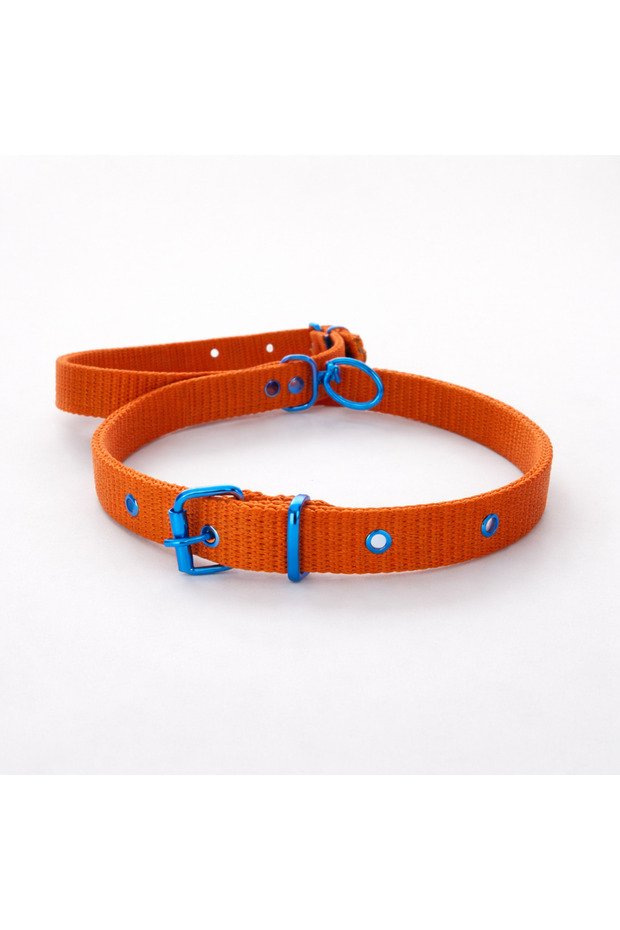 طوق كلب كبير الحجم - 1