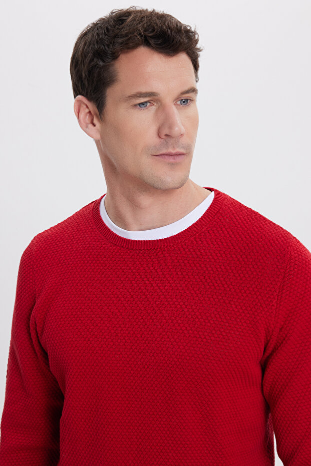 Men's Standard Fit Regular Cut Crew Neck Honeycomb Patterned Red Knitwear Sweater
