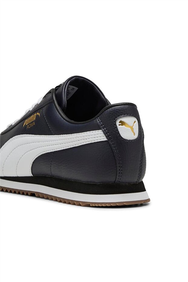 Roma 24 Standard - 6