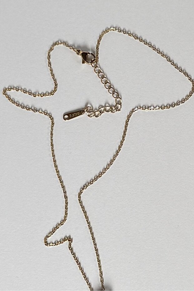 Pink Harmony Çelik Kolye - 3