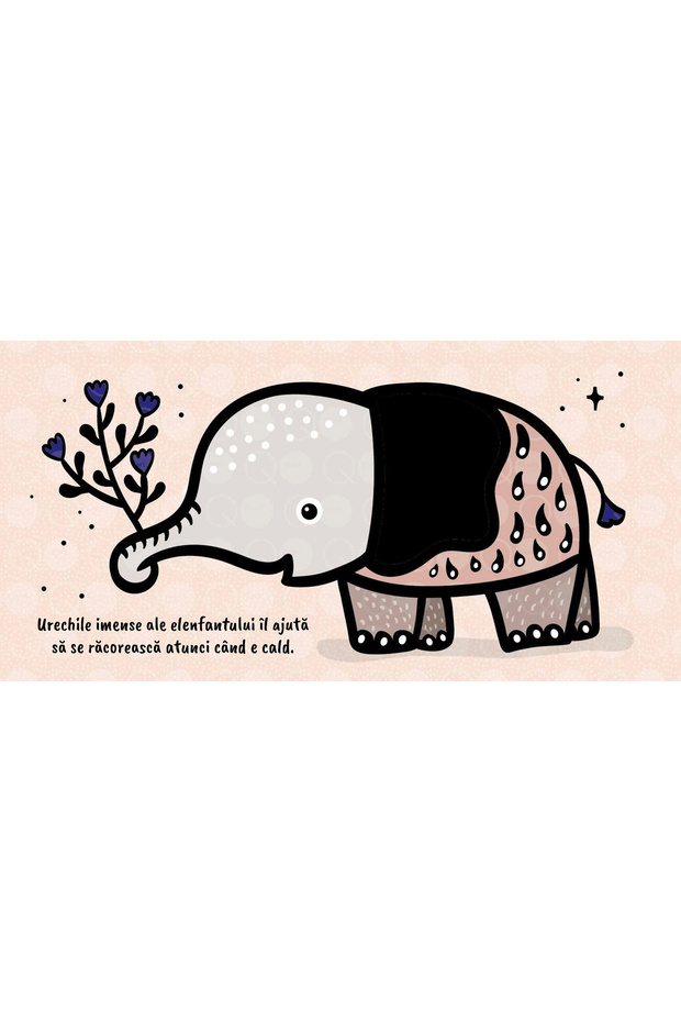 Atinge si simte - Urechi - 4