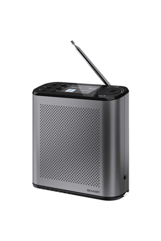 DR-P 530 OSAKA, DAB+, FM, Gray - 1