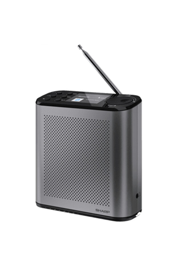 DR-P 530 OSAKA, DAB+, FM, Gray - 2