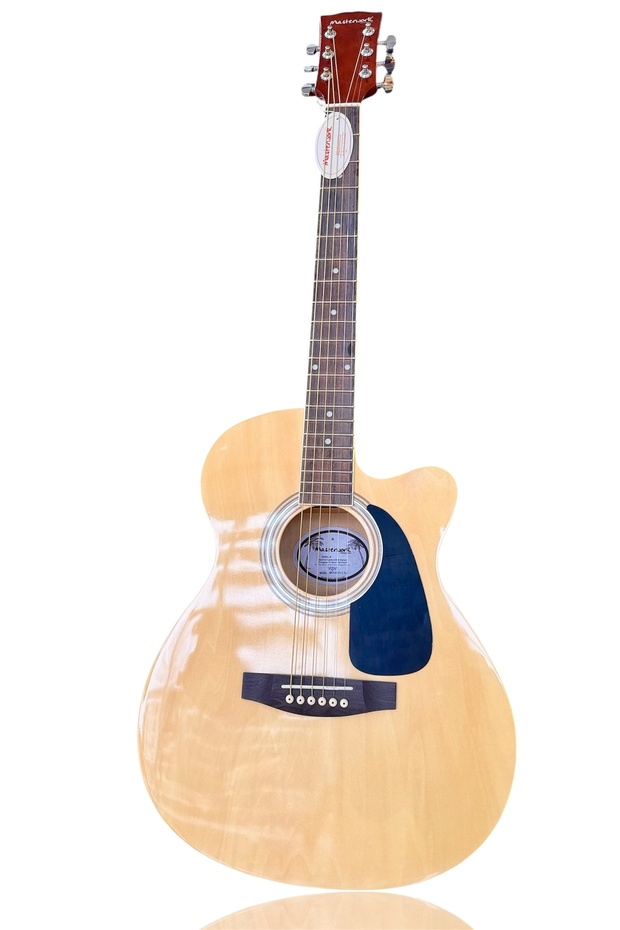 Elektro Akustik Gitar - 1