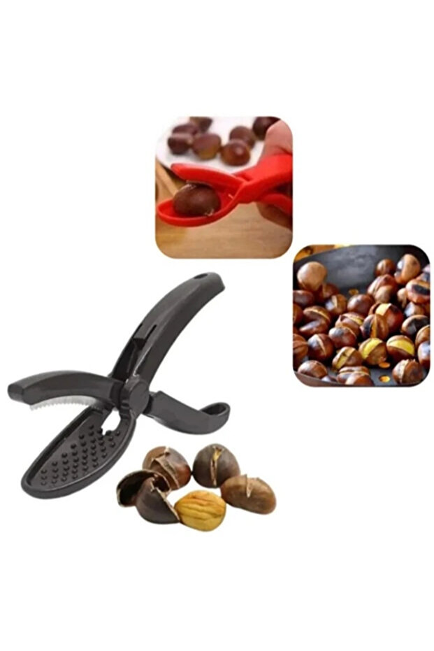 Plastic Chestnut Picker - 2