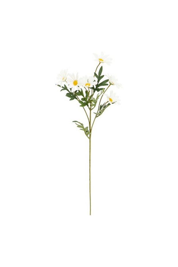 Margarete decorative, tulpina 60 cm, Multicolor