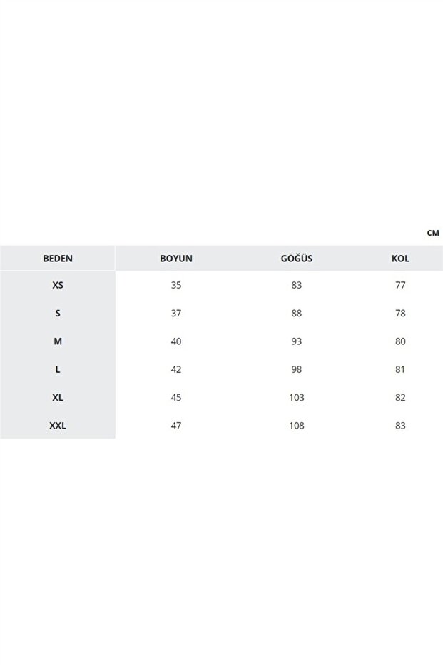 CSC M BASIC BIG LOGO BRUSHED SS TEE - 6