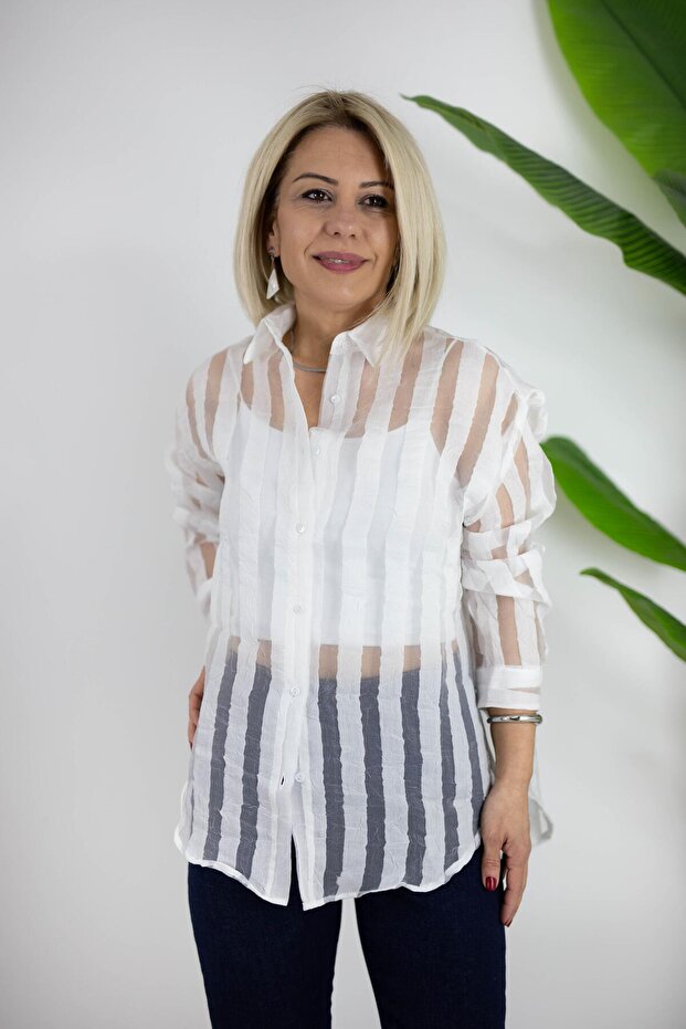 3015 Organza, Self-Striped, Scratched Shirt