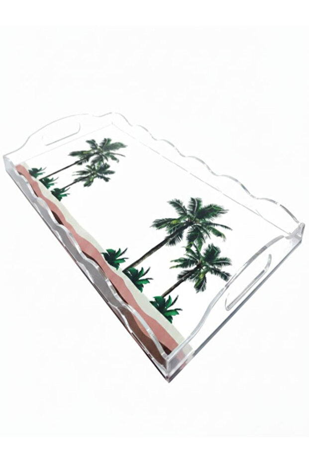 Rectangular Transparent Acrylic Serving Tray with Desert Theme Print – 22 × 42 cm
