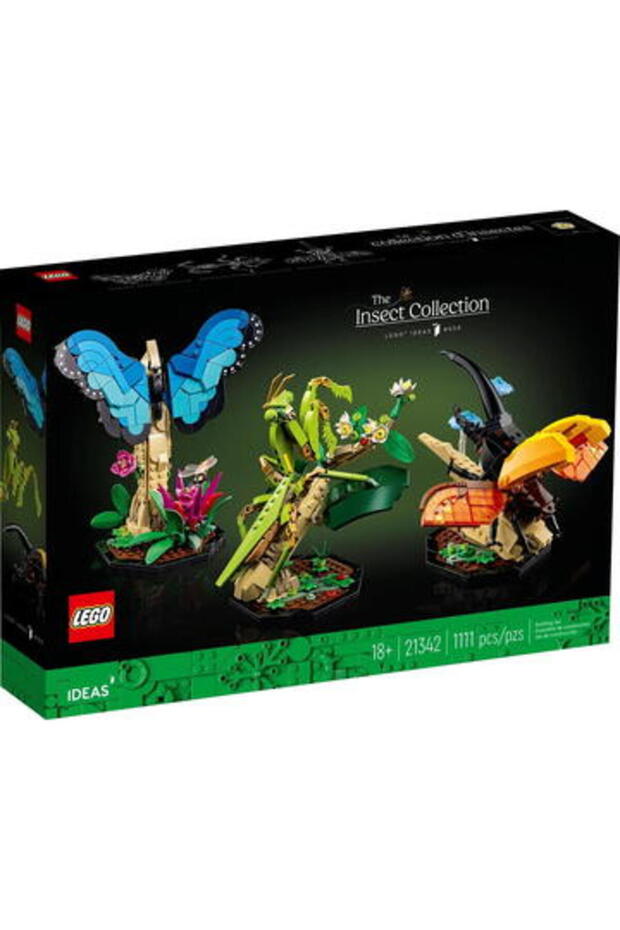 Colecție de insecte - 2