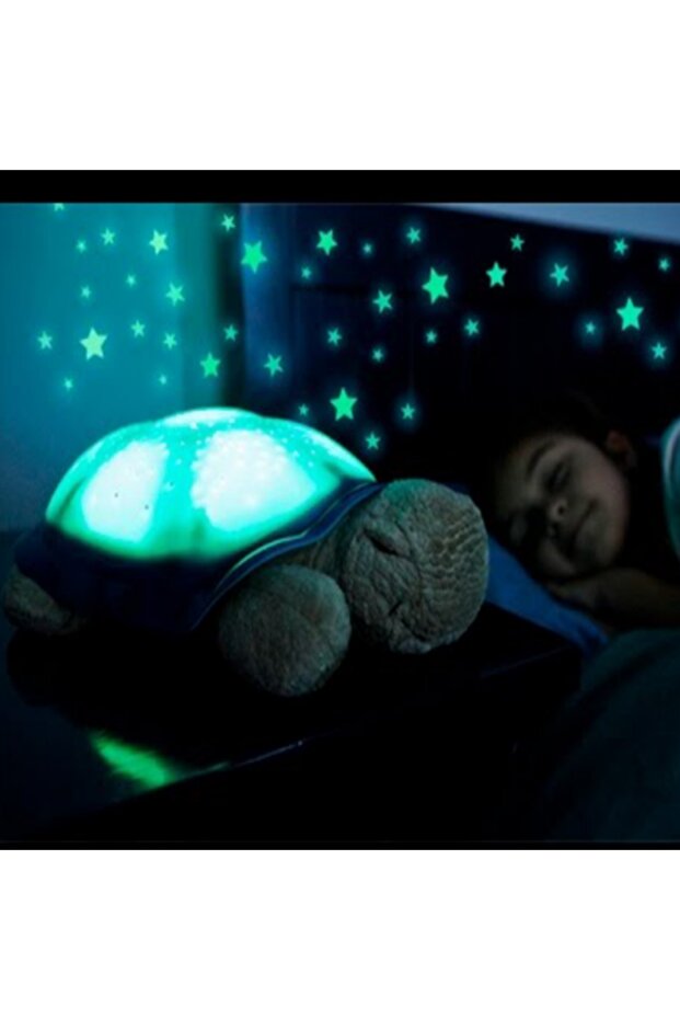 Illuminated Turtle - 2