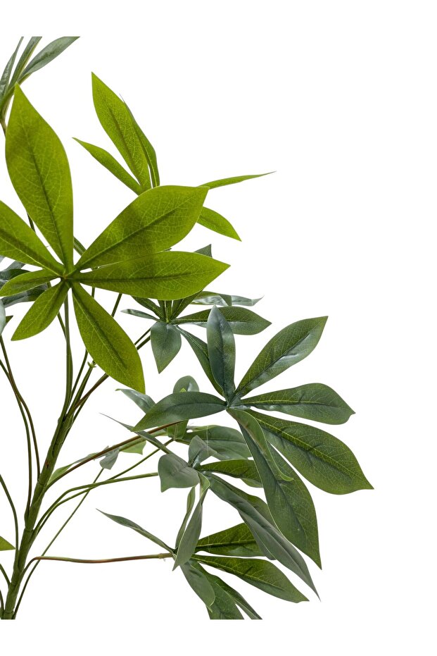 شجرة شيفليرا صناعية بارتفاع 180 سم - 2