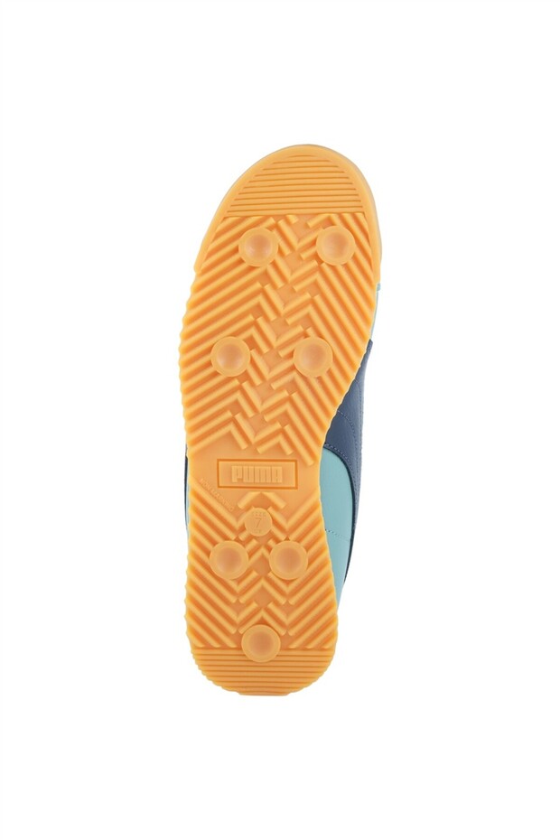 Roma 24 Standard - 4