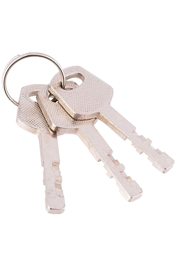 Rectangular Padlock, 70 mm, RICHMANN EXCLUSIVE - 3