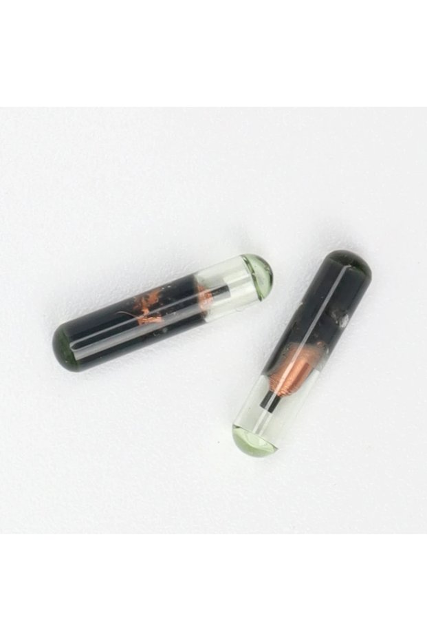 10PCS id48 10 PCS ID48 glass chip auto transponder chip ID 48 KD48 chip for VW Audi Skoda Honda car