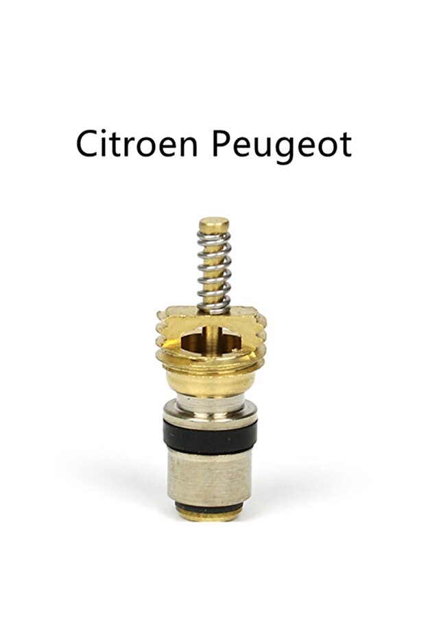 10 pieces ,(100pieces) Air conditioning Charge cold medium interface valve core for Peu