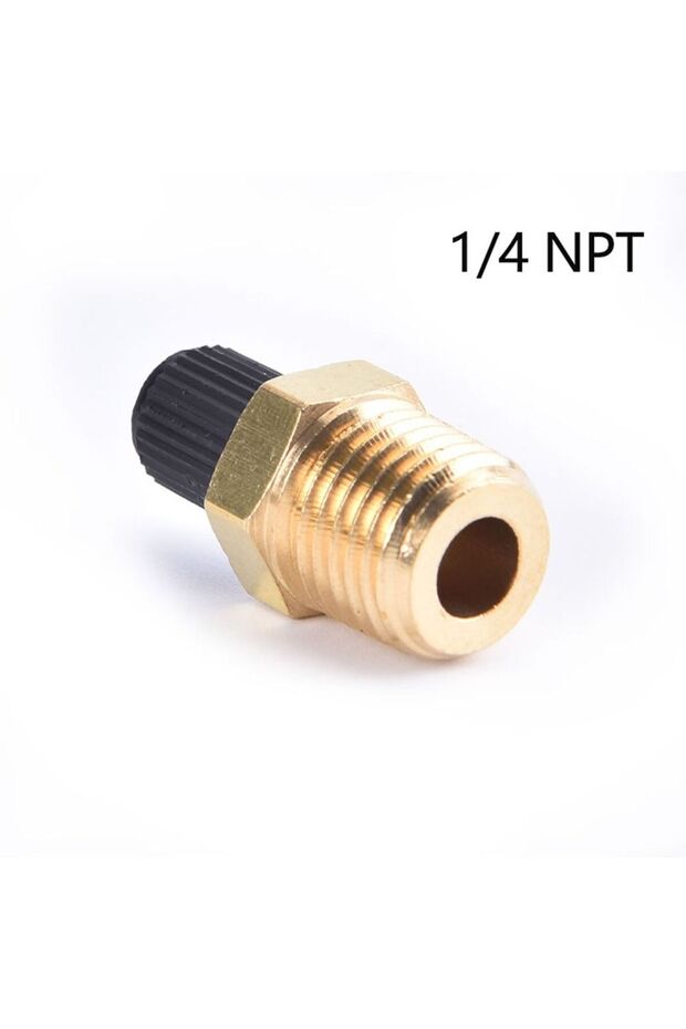 1-4 NPT-Regular type 1/4 NPT 1/8 NPT M10 Air Compressor Tanks Fill Valve Anti-Corrosion Brass Schrad