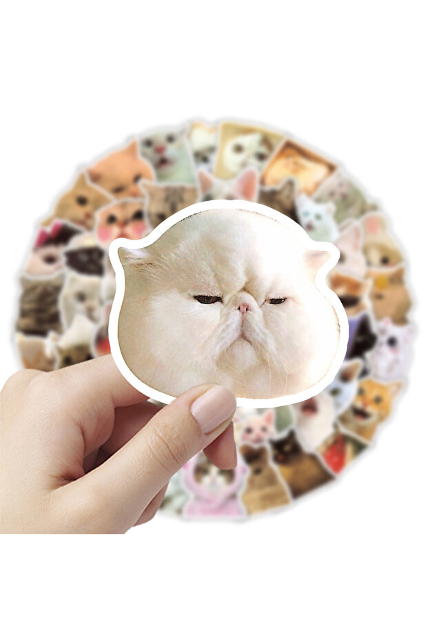 100PCS 100 Pcs Adorable Cat Emoji Graffiti Stickers Kawaii Kitten Head Doodle Decals Cute Decor for