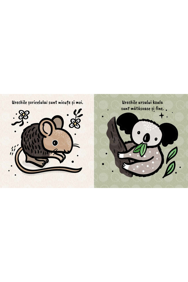 Atinge si simte - Urechi - 3